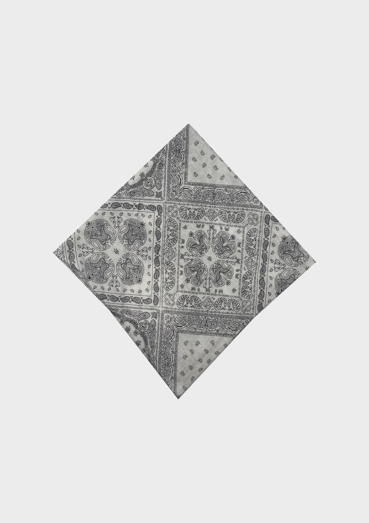 Paisely Bandana