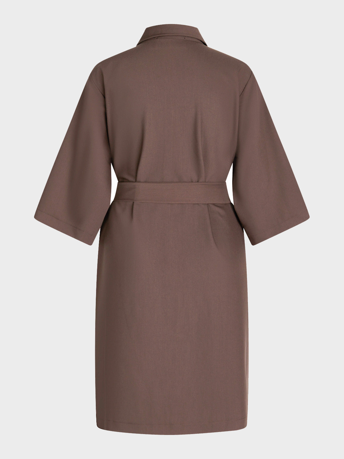 Belted Wide Sleeve Dress