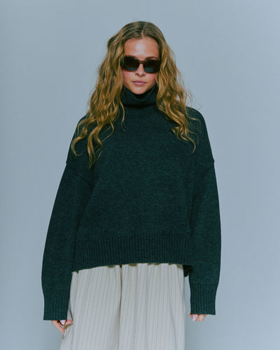 Wide Turtleneck Knit