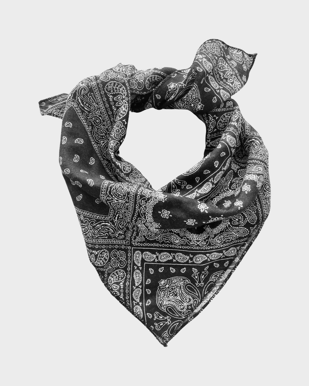 Paisely Bandana image 3