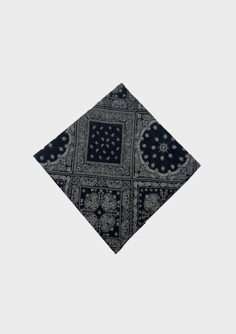 Paisely Bandana image 1